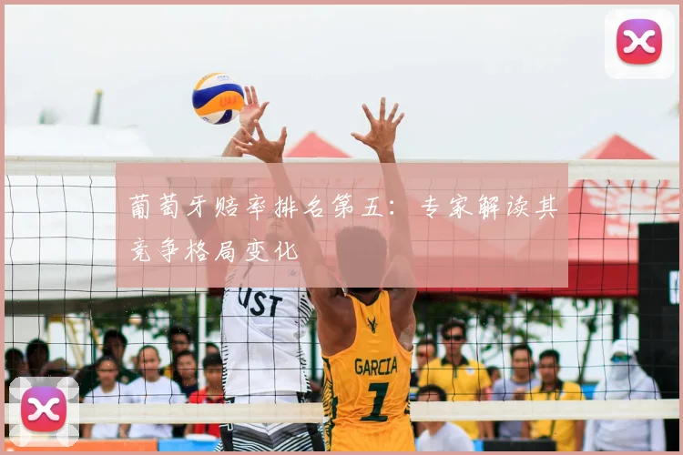 葡萄牙赔率排名第五：专家解读其竞争格局变化