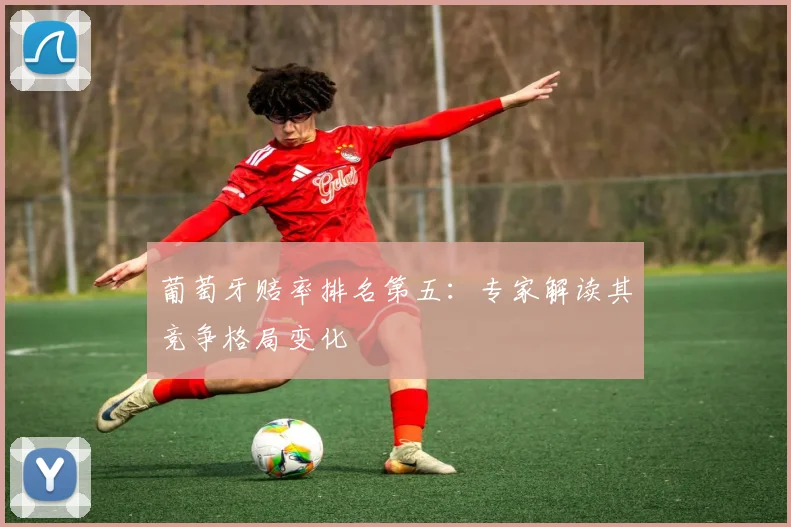 葡萄牙赔率排名第五：专家解读其竞争格局变化